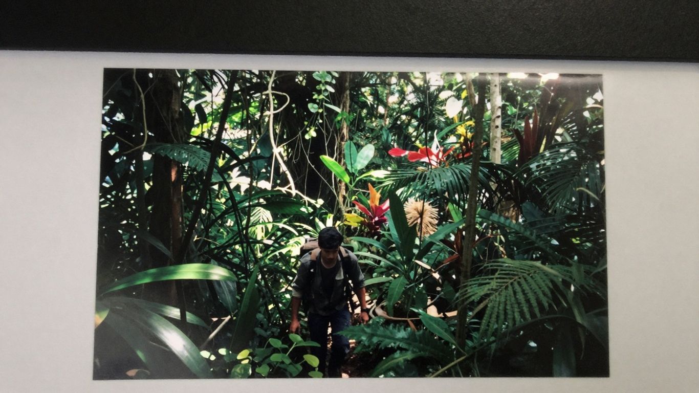 Green Hell od Creepy Jar Przekracza 9 Milionów Sprzedanych Egzemplarzy 7 Green Hell od Creepy Jar Przekracza 9 Milionów Sprzedanych Egzemplarzy